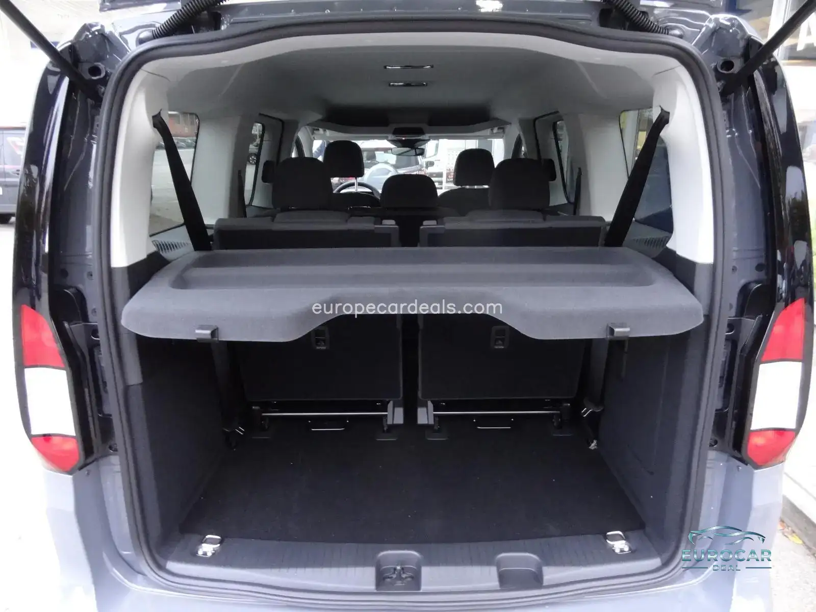 Ford Grand Tourneo