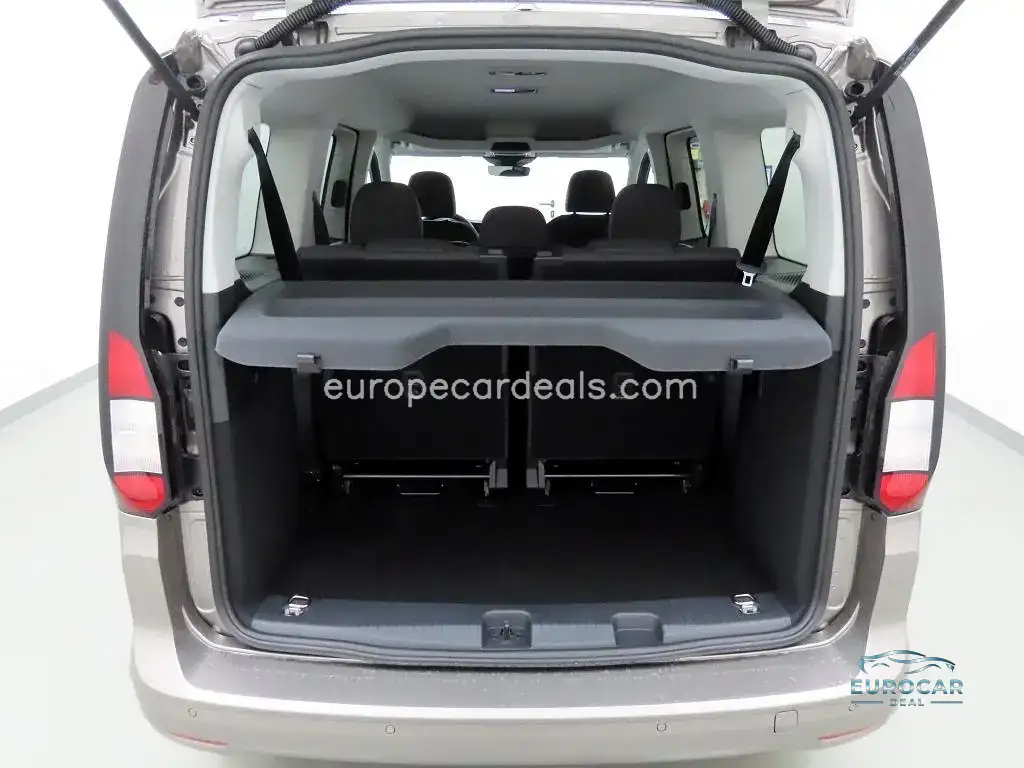 Ford Grand Tourneo