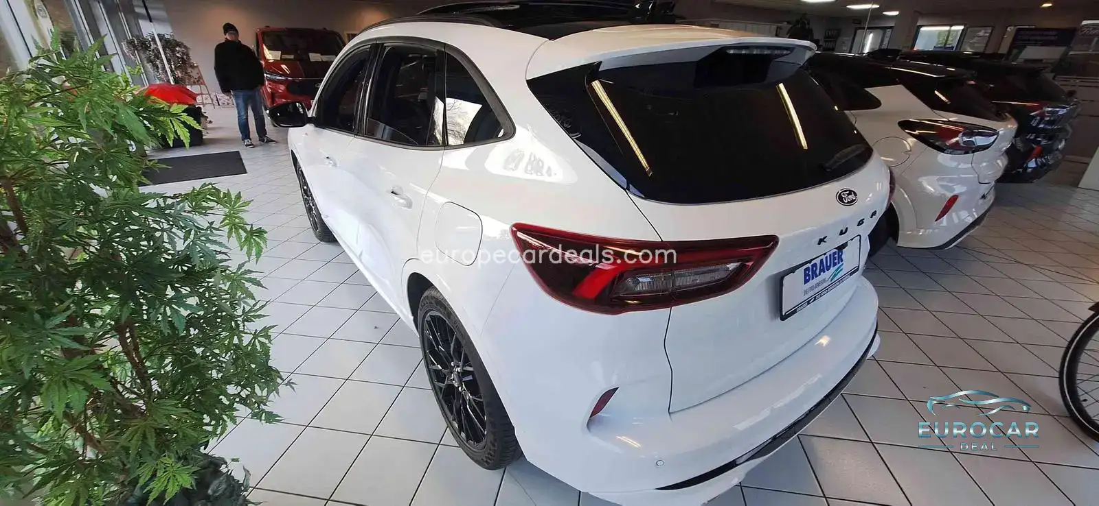Ford Kuga