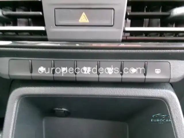 Ford Grand Tourneo