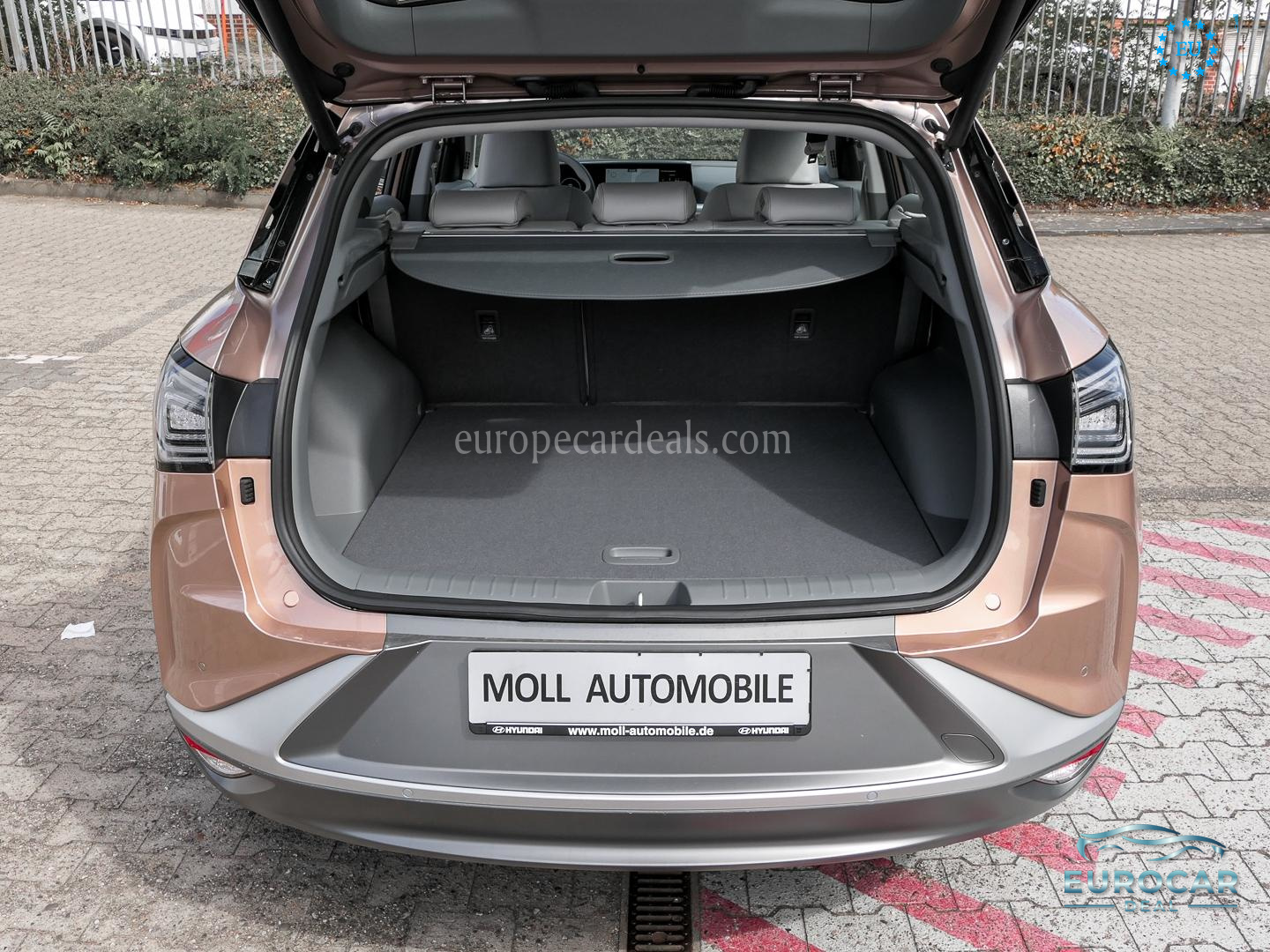 Hyundai NEXO