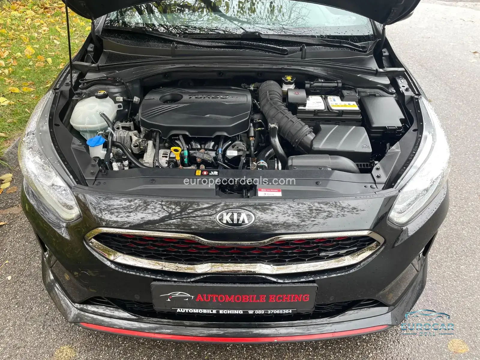 Kia pro cee’d / ProCeed
