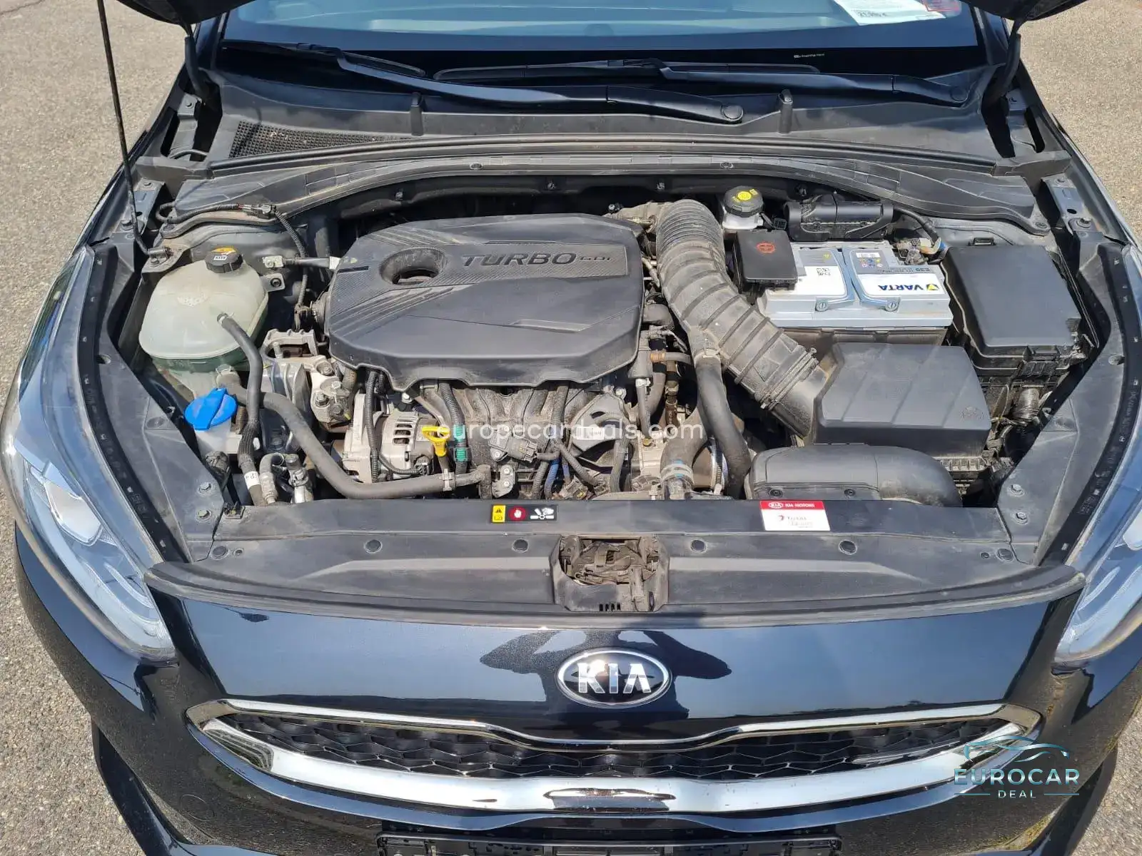 Kia pro cee’d / ProCeed