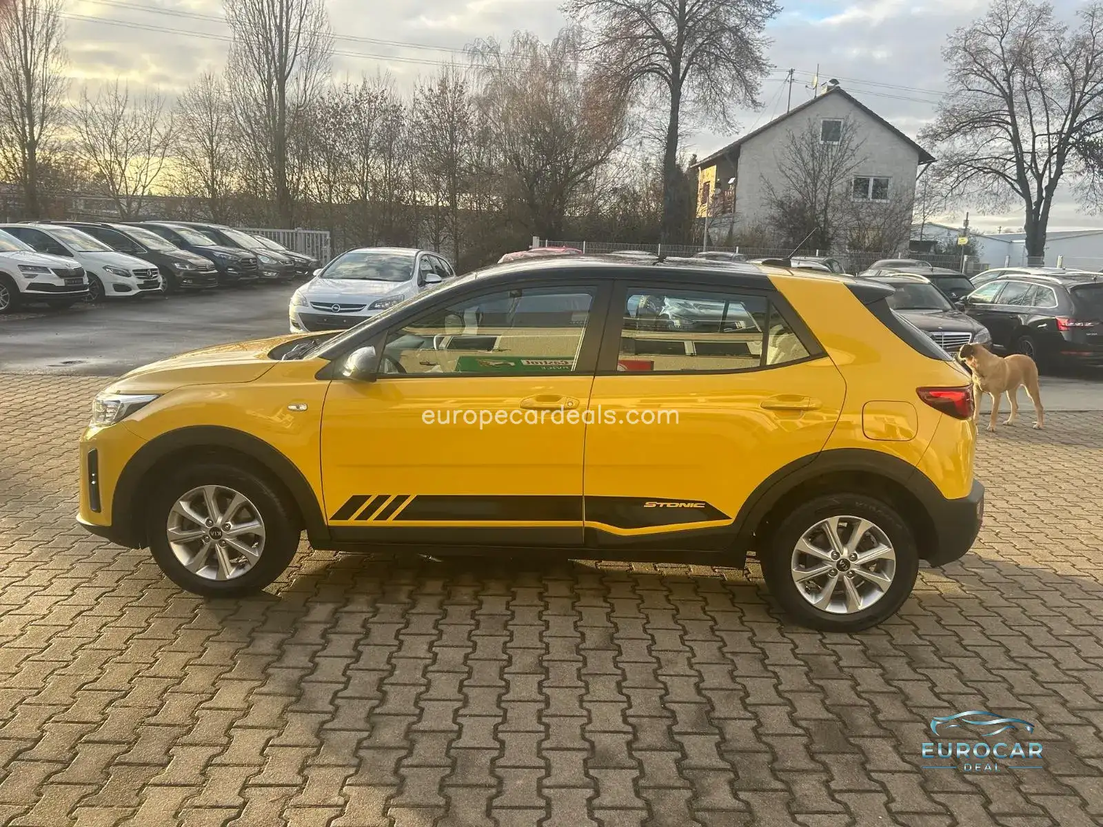 Kia Stonic