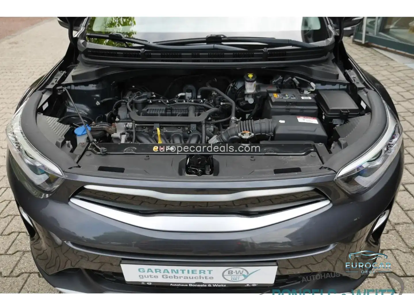 Kia Stonic