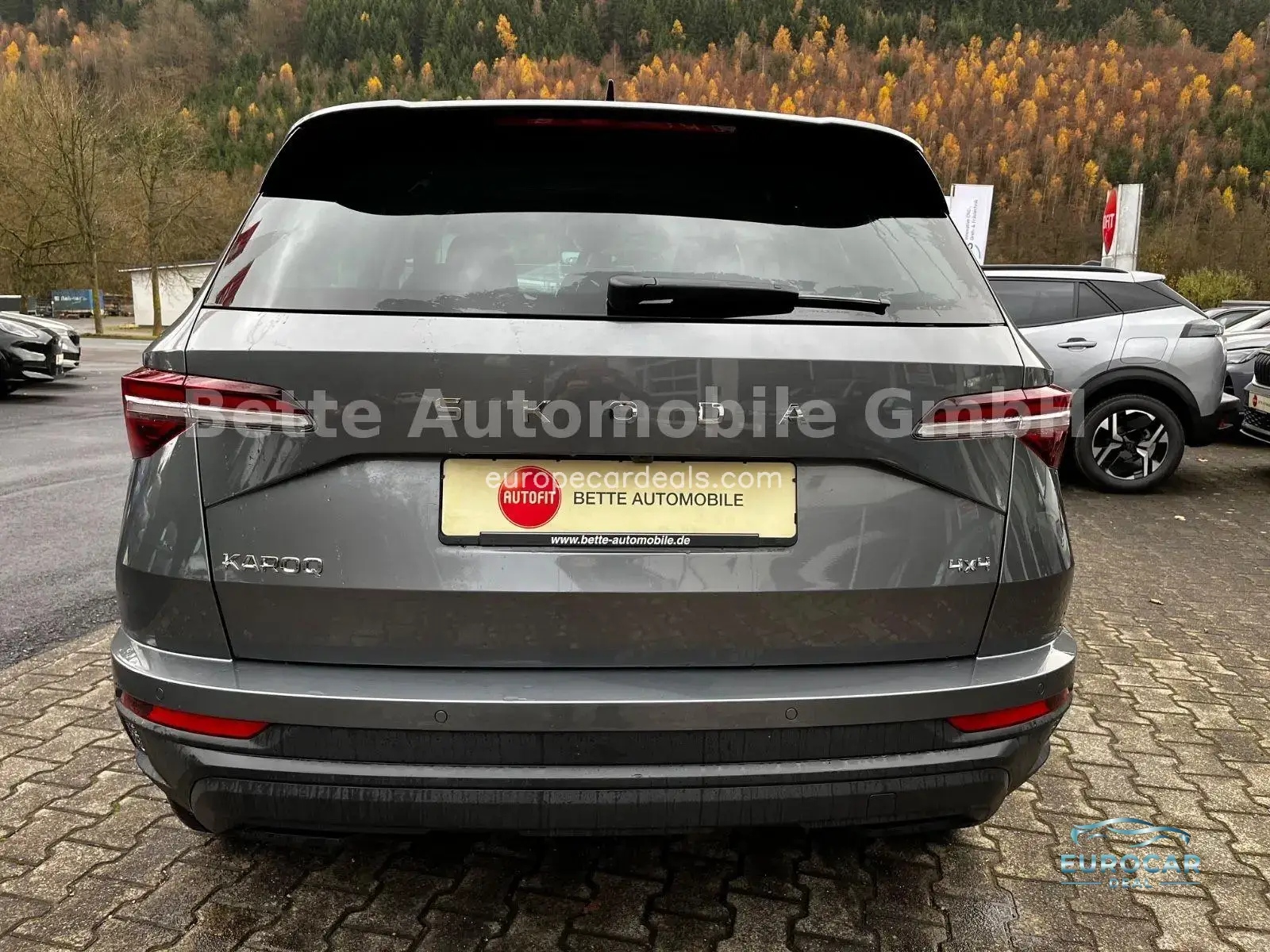Skoda Karoq