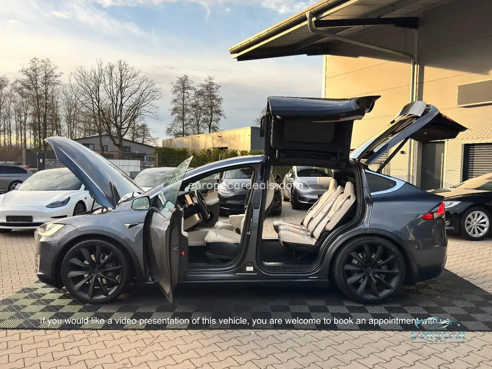 Tesla Model X
