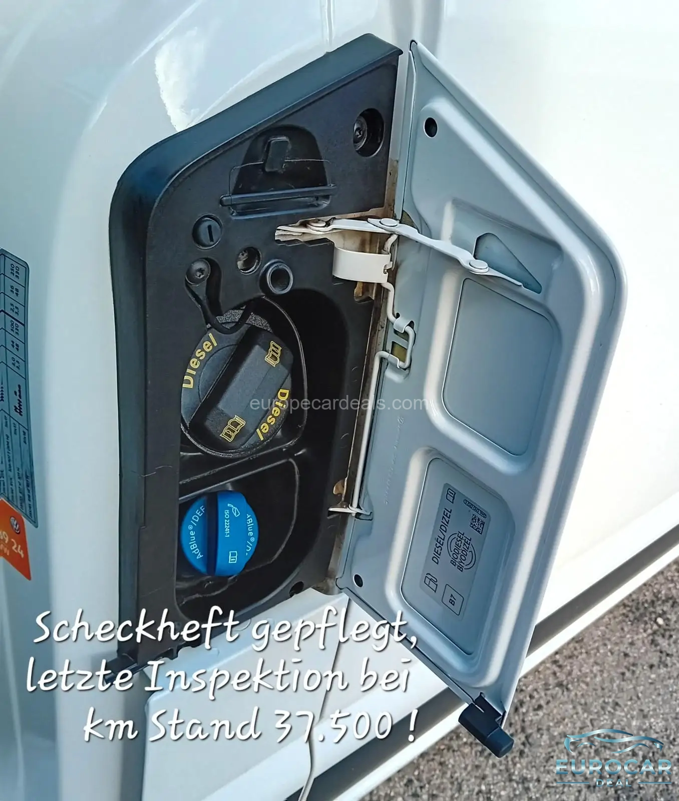Volkswagen T6 Kombi