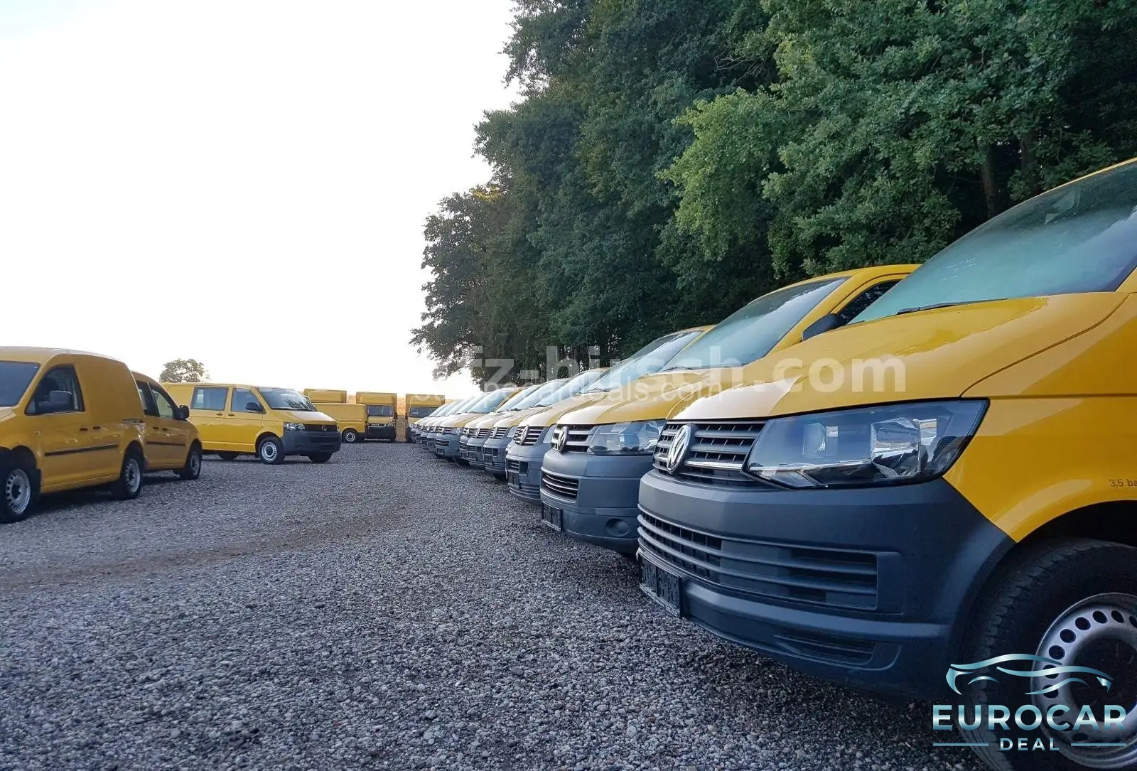 Volkswagen T6 Transporter