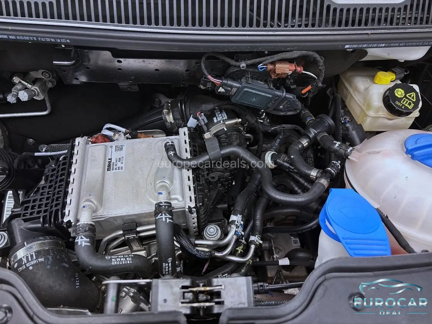 Volkswagen T6 Transporter