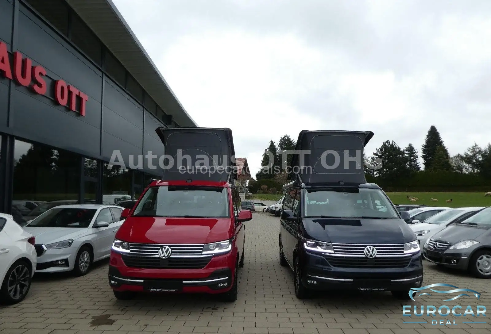 Volkswagen T6 California