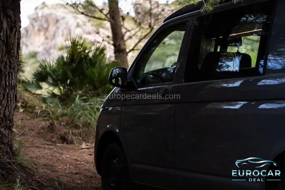 Volkswagen T6 other