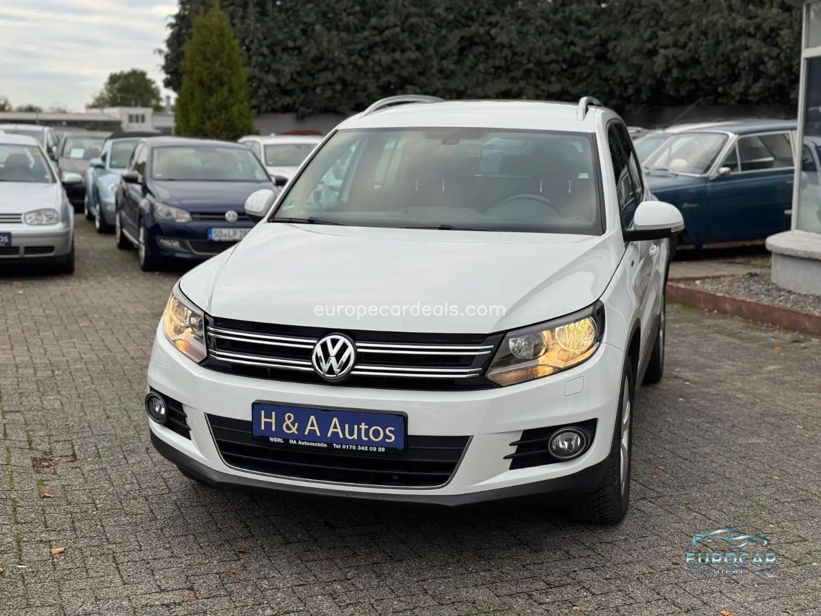 Volkswagen Tiguan