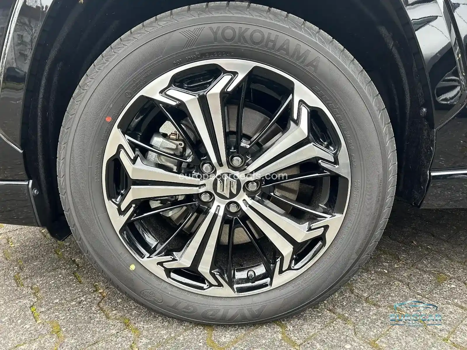 Suzuki Across