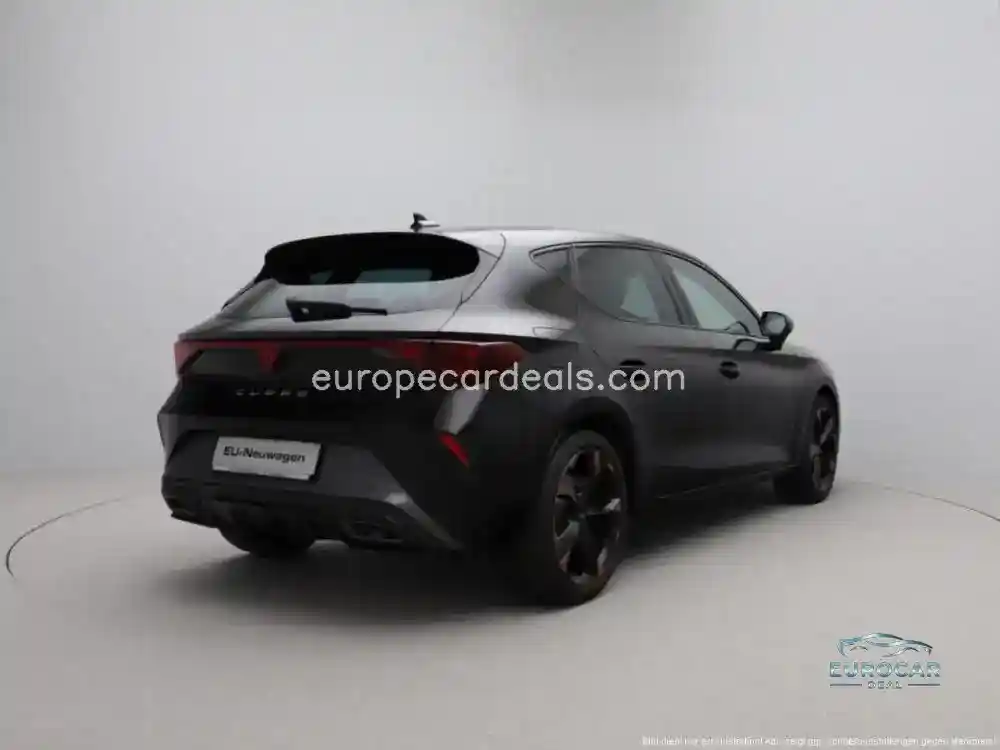 Cupra Other