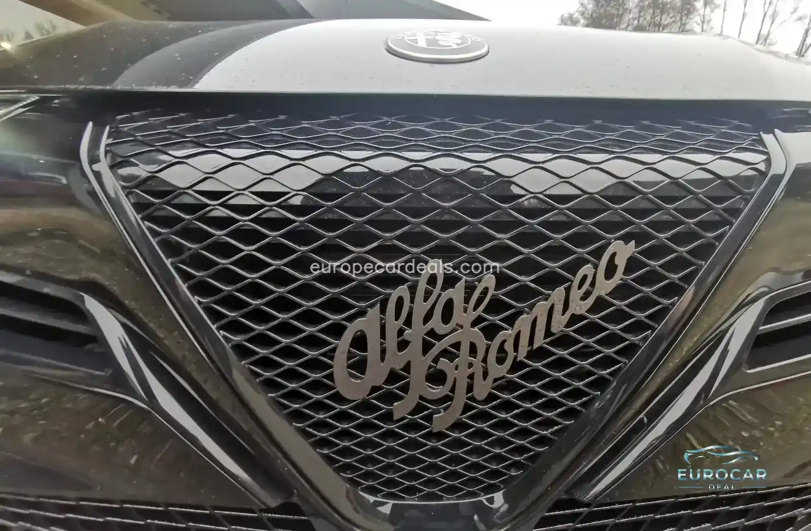 Alfa Romeo Junior