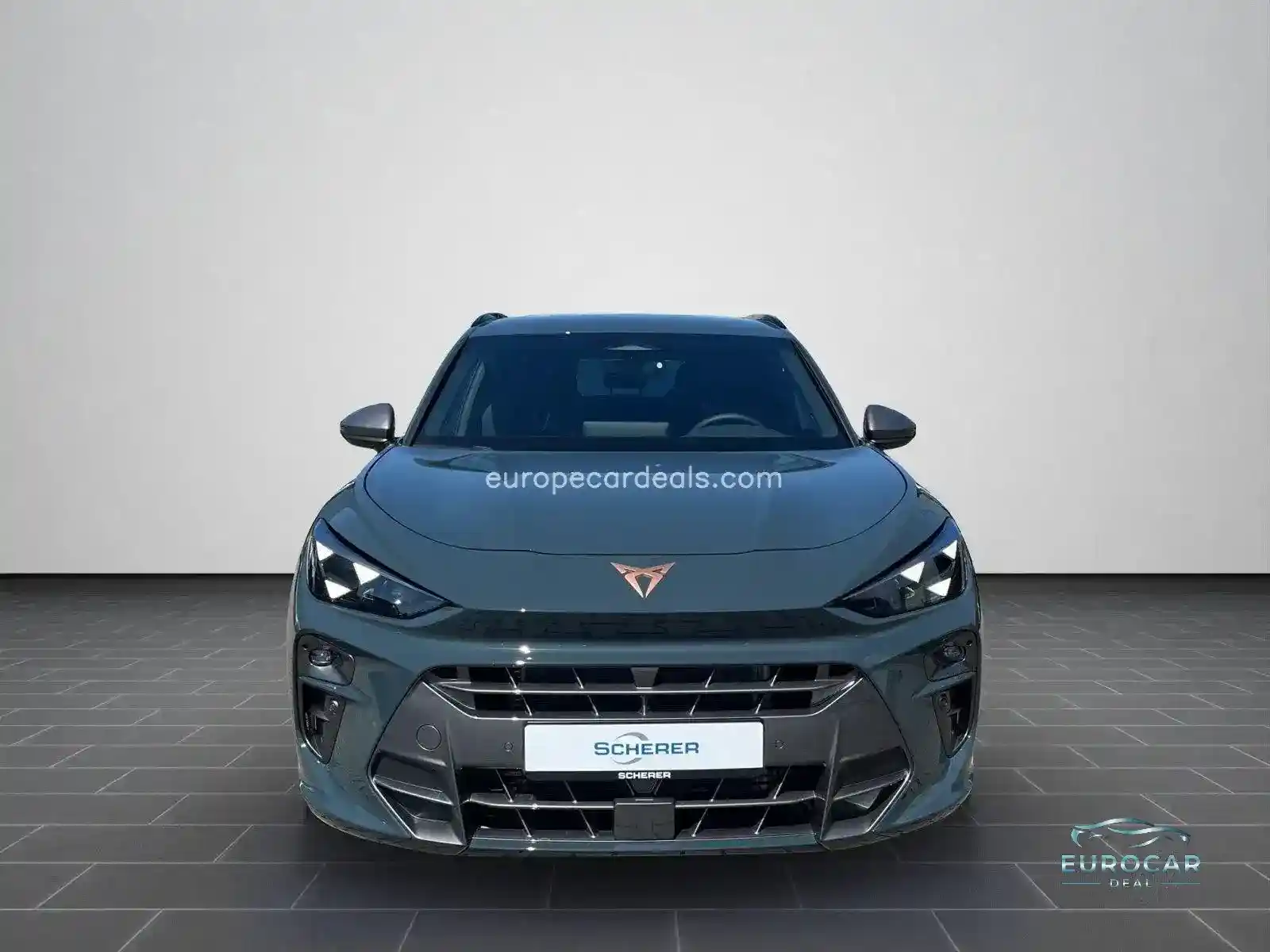 Cupra Terramar