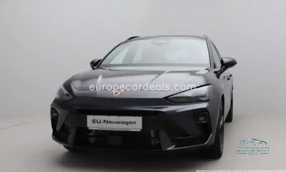 Cupra Other