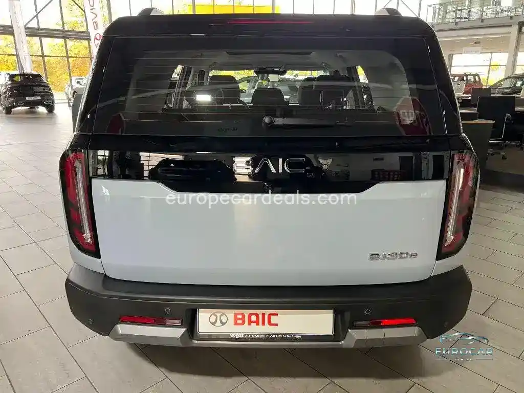BAIC Other