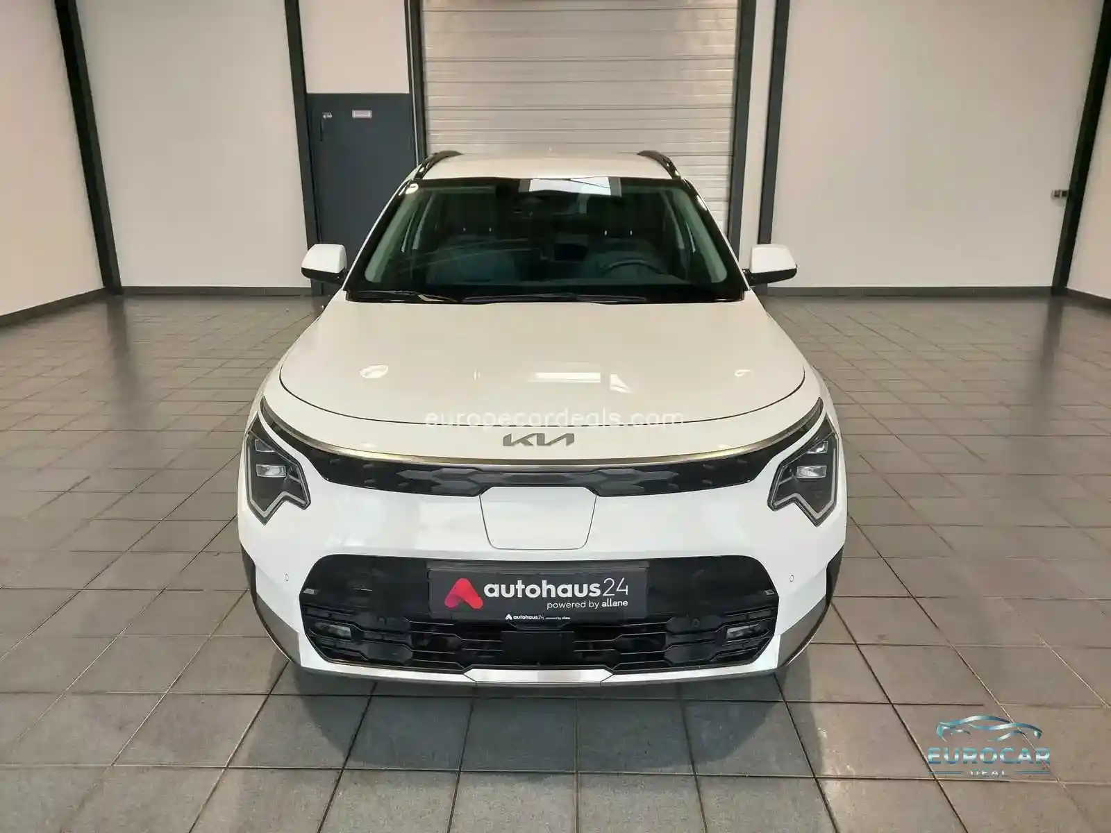 Kia Niro EV