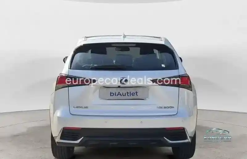 Lexus Other