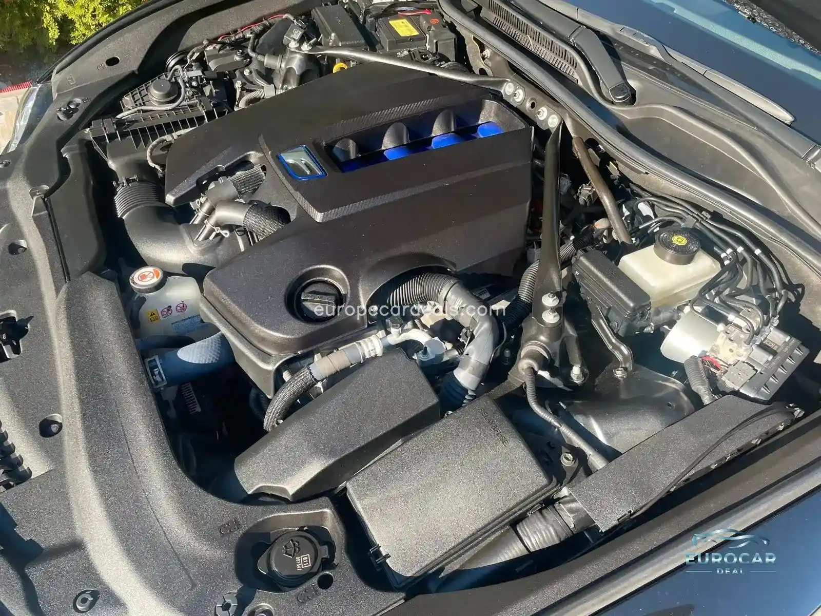 Lexus RC F