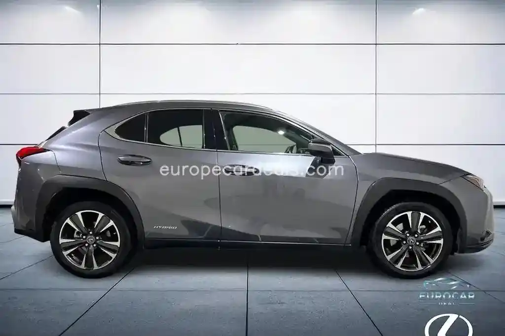 Lexus Other