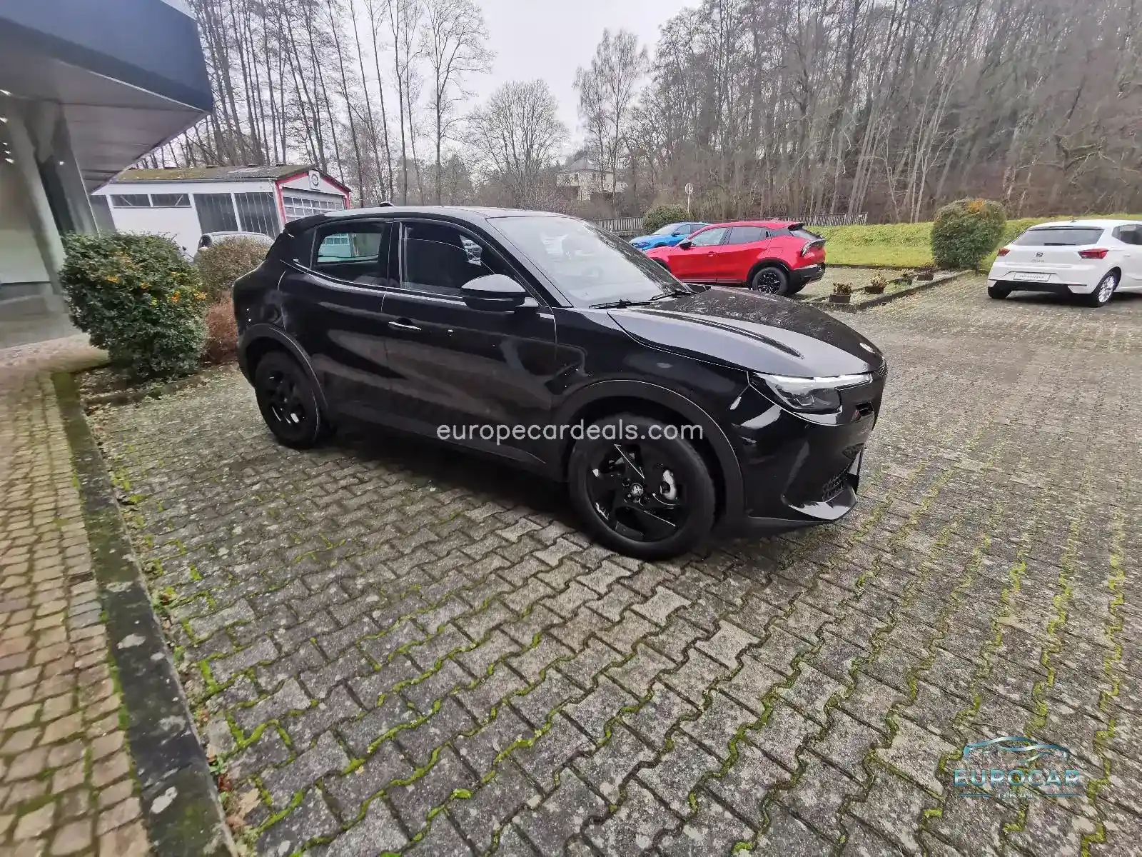 Alfa Romeo Junior