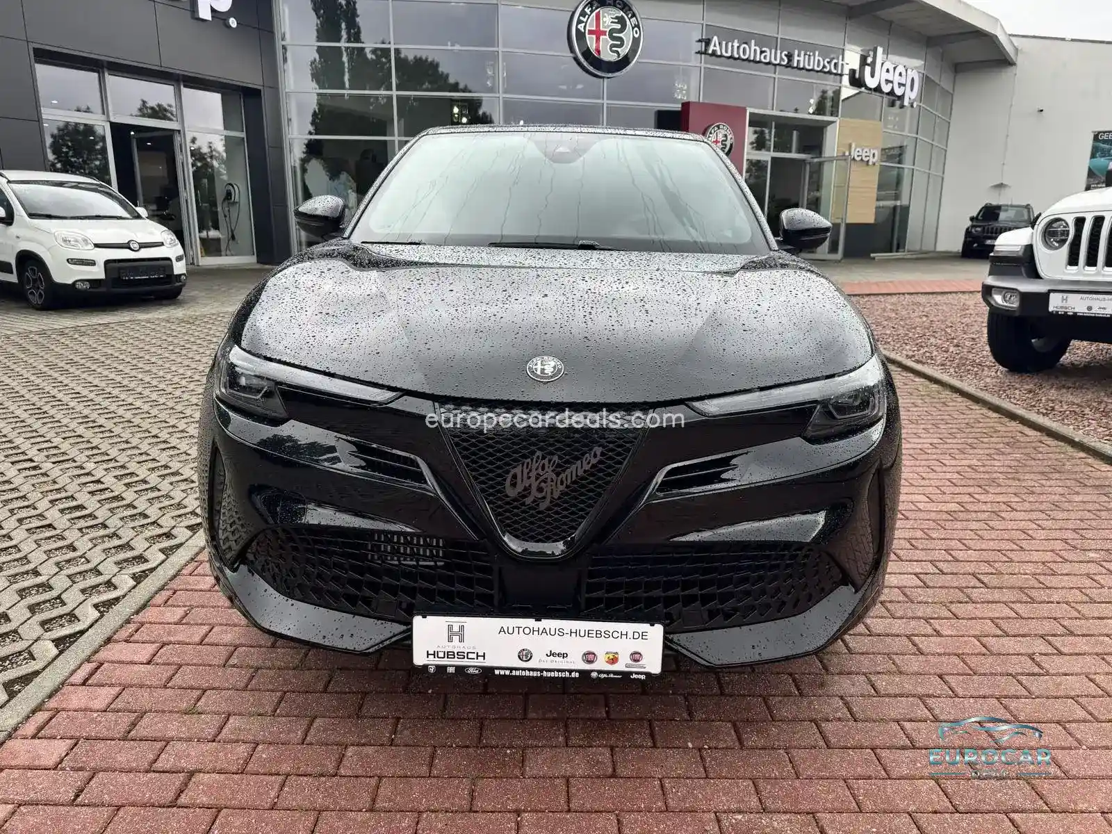 Alfa Romeo Junior