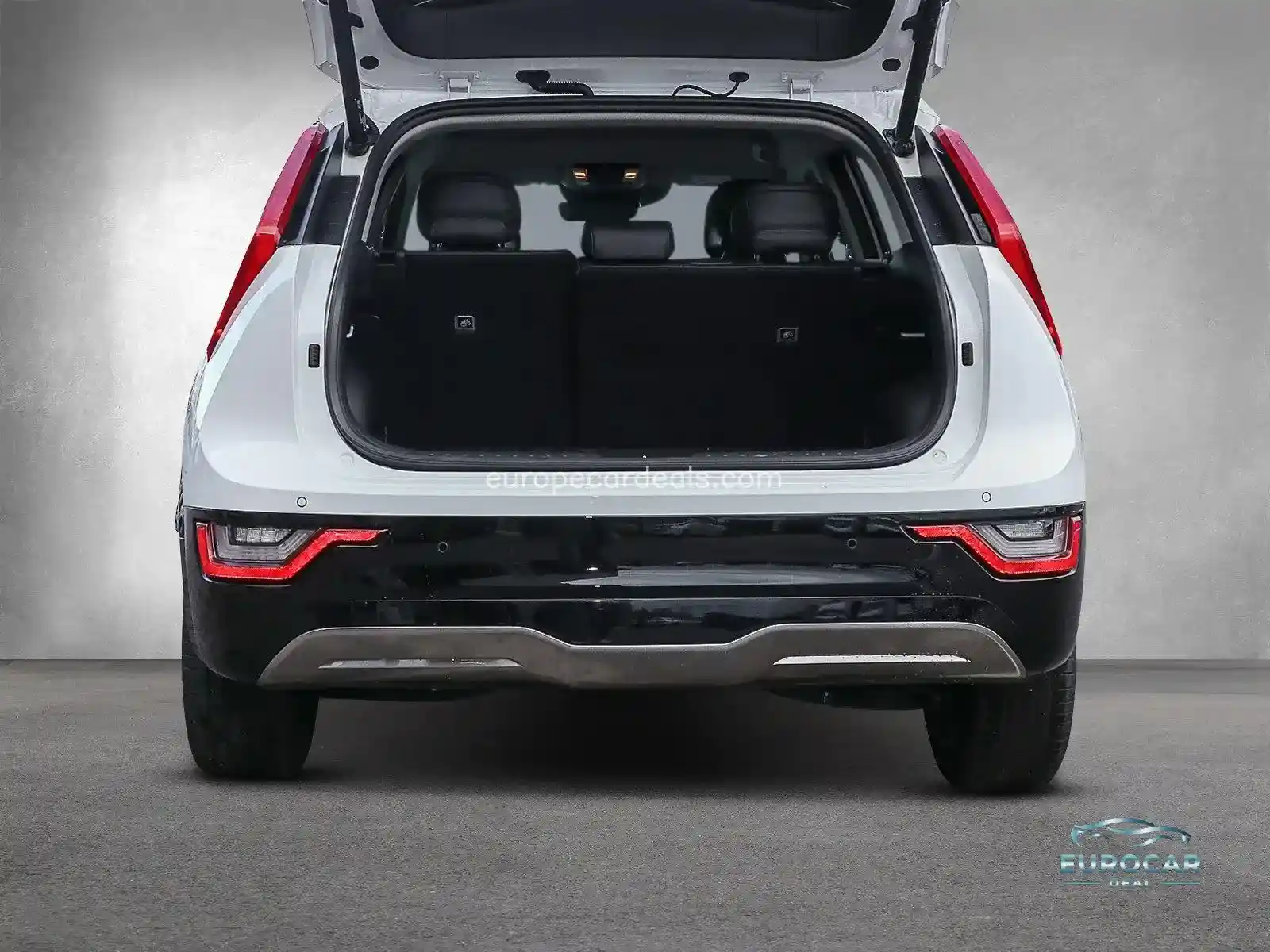 Kia Niro EV