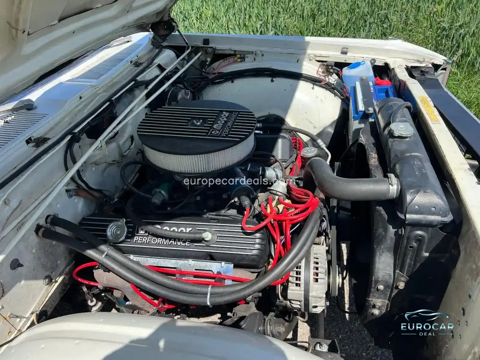Dodge Other