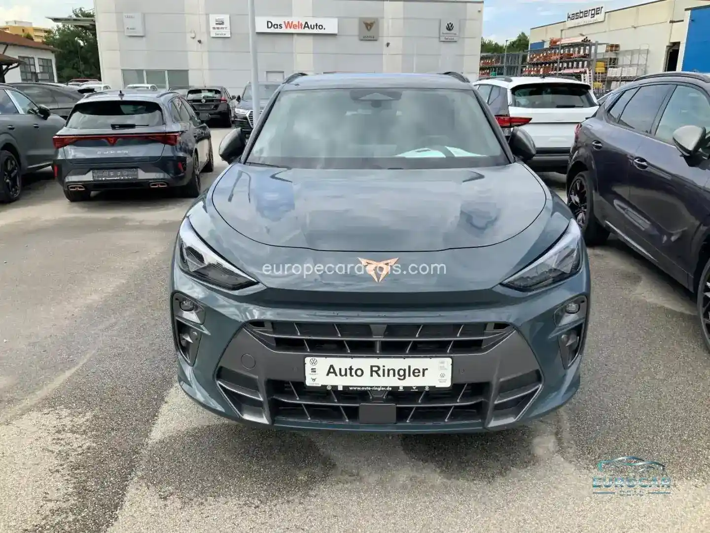 Cupra Terramar
