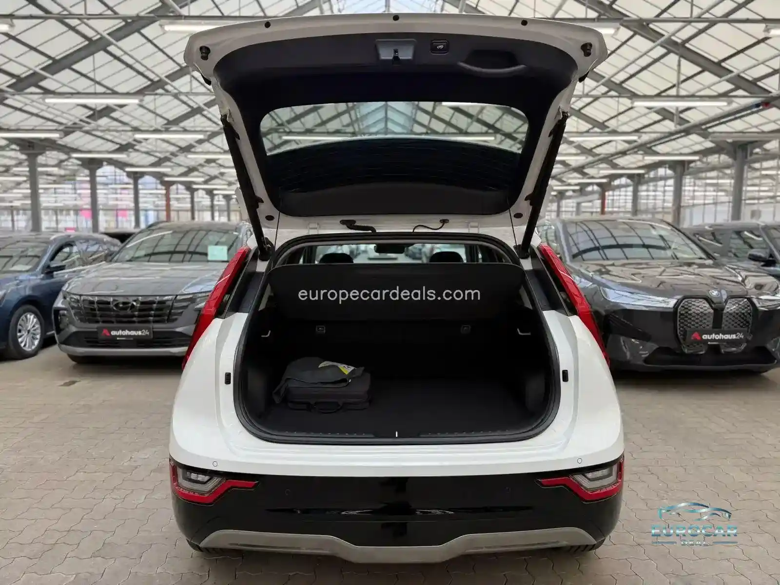 Kia Niro EV