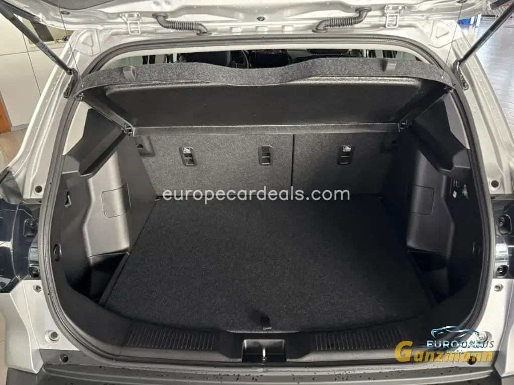 Suzuki (SX4) S-Cross