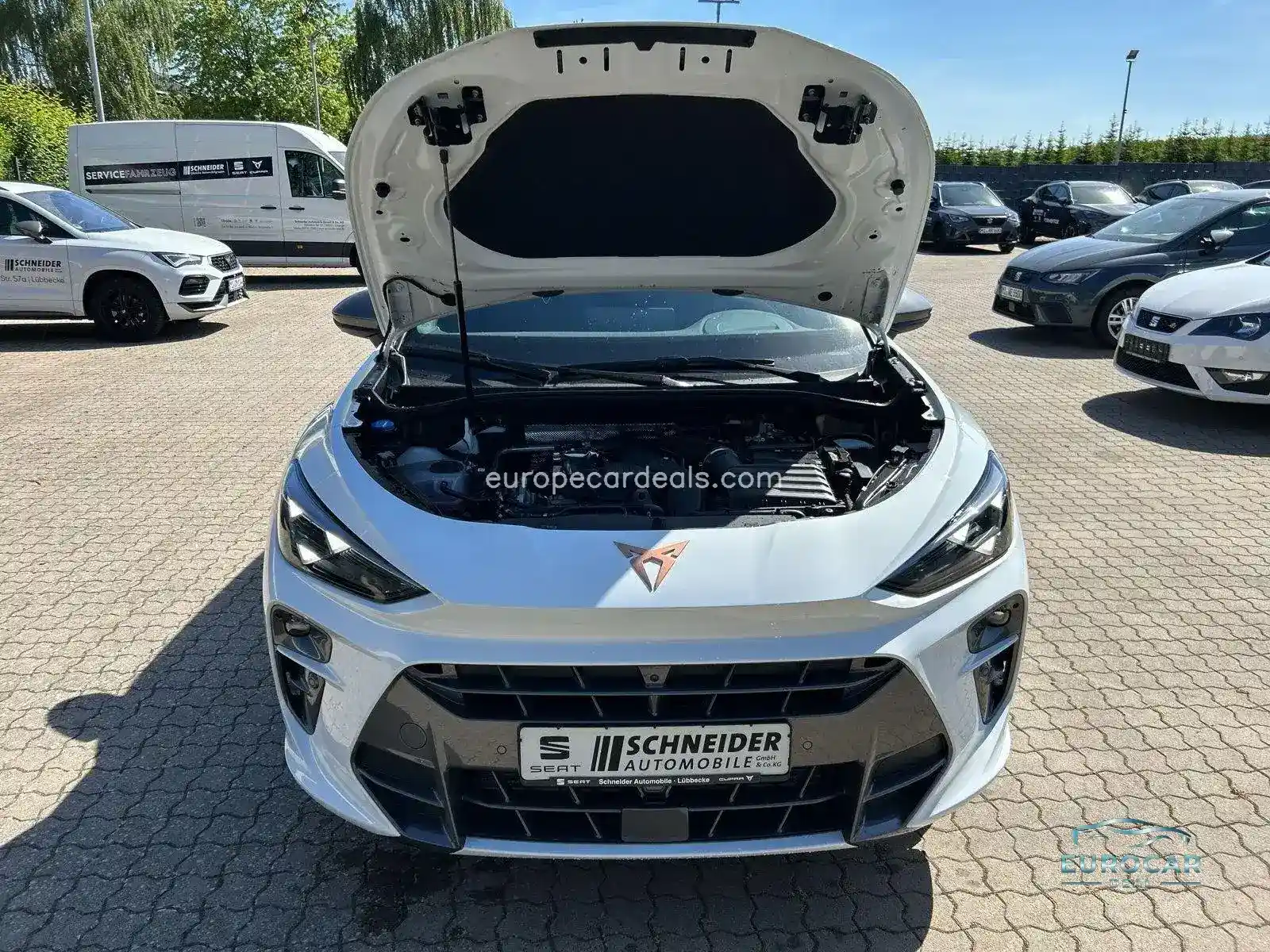 Cupra Terramar