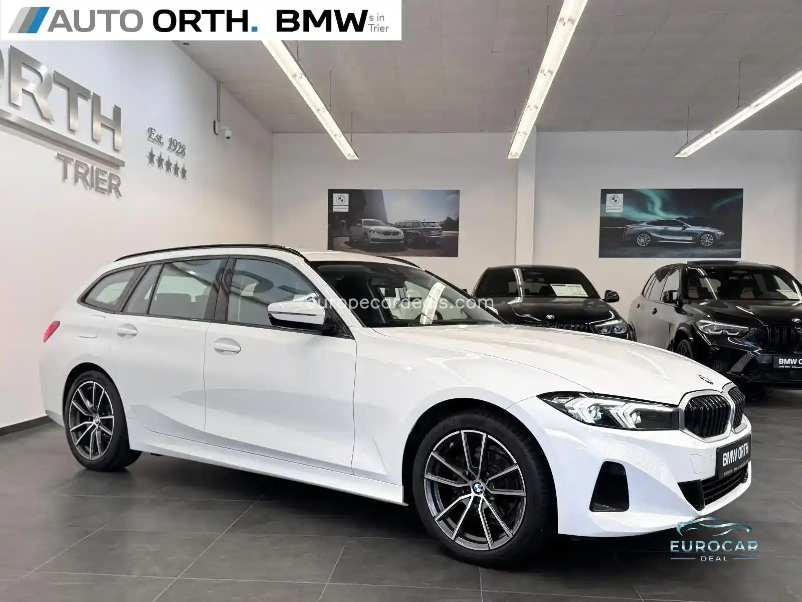 BMW 318