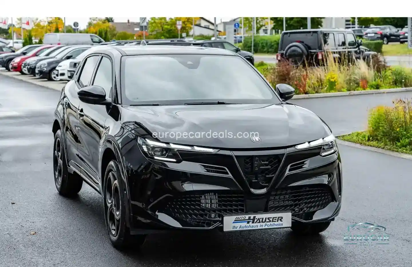 Alfa Romeo Junior