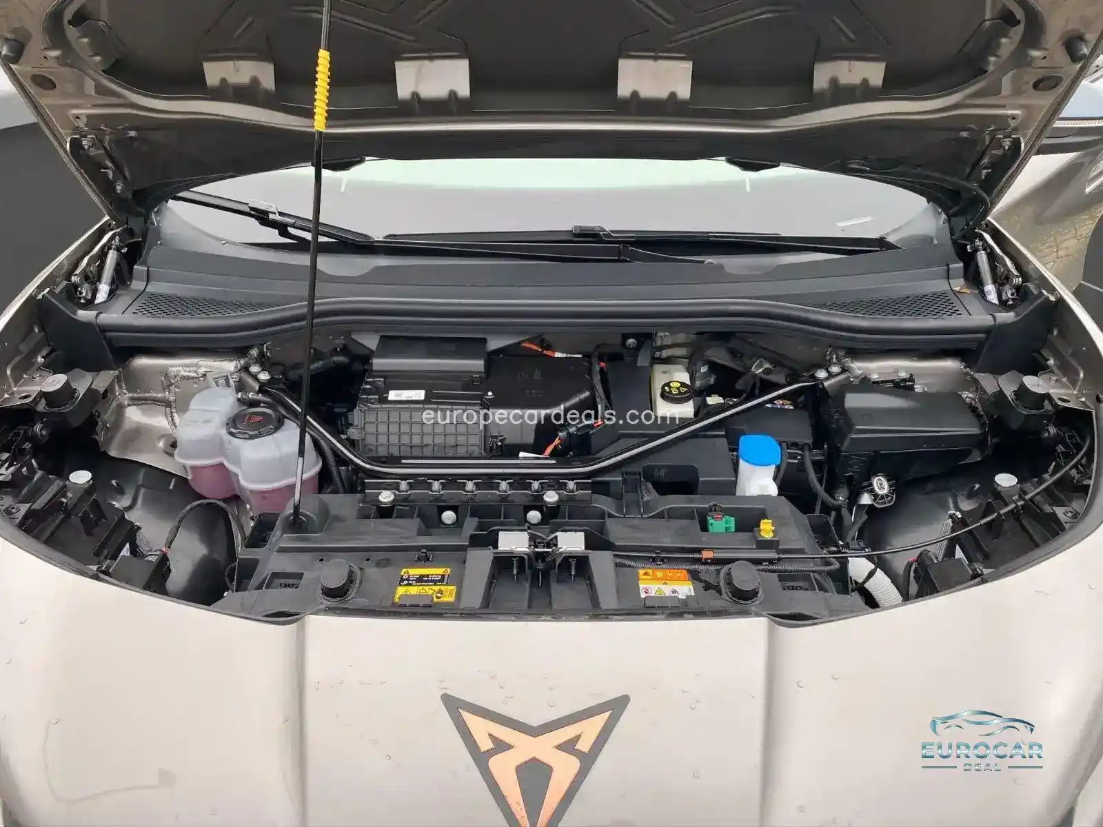 Cupra Tavascan