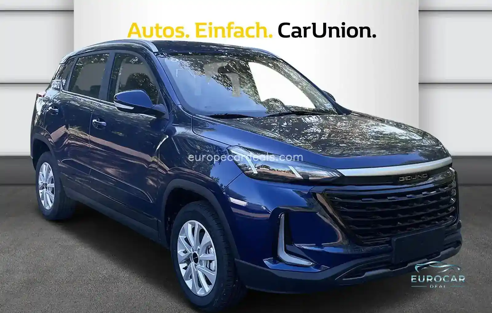 BAIC Other