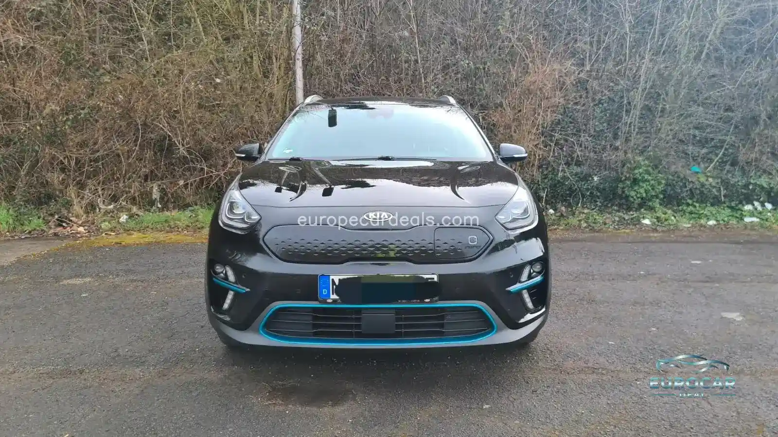 Kia Niro EV
