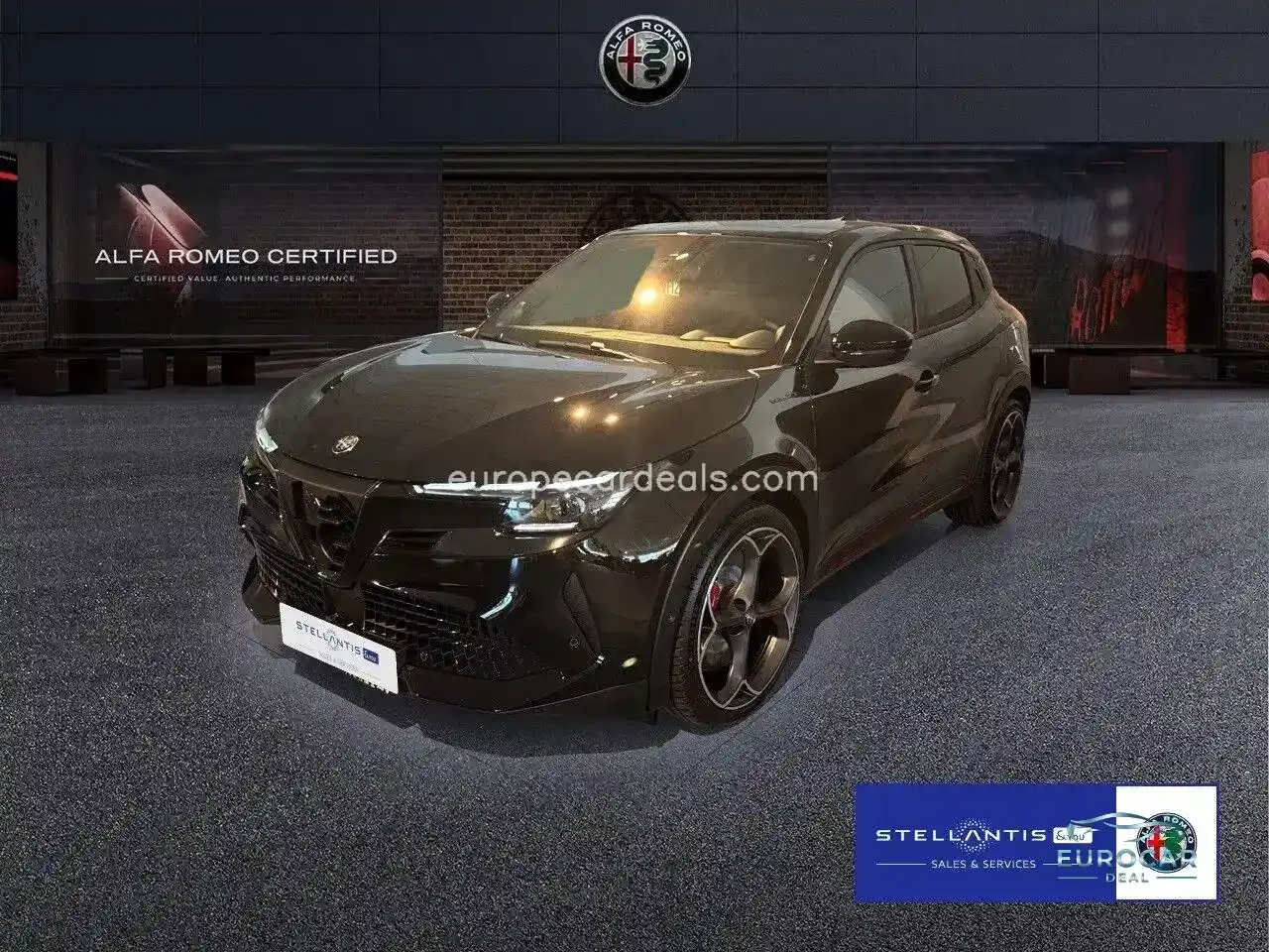 Alfa Romeo Junior