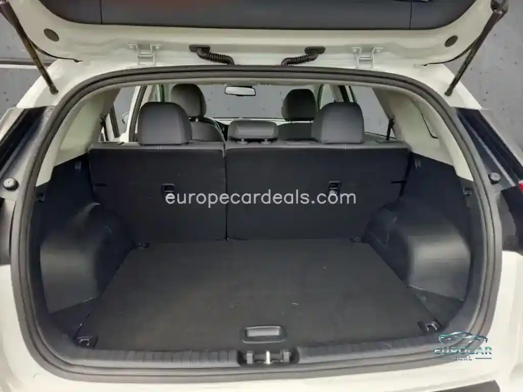 Kia Niro EV