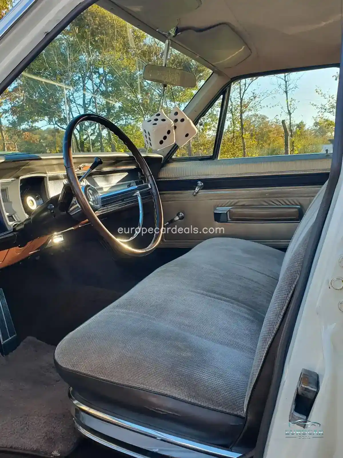 Dodge Other