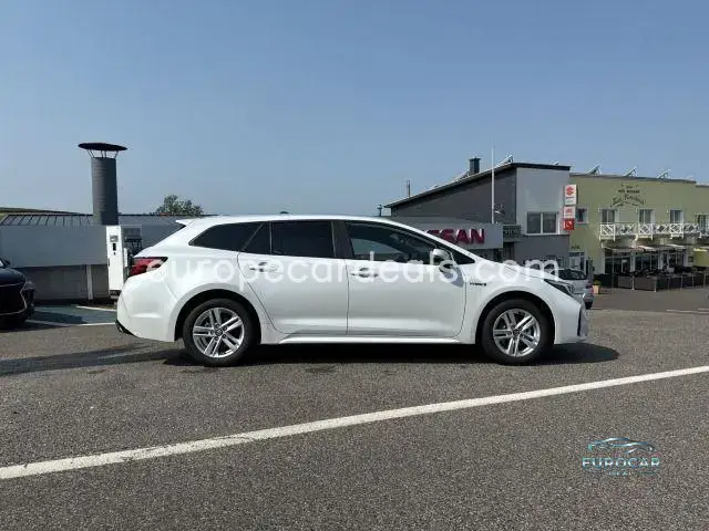 Suzuki Swace