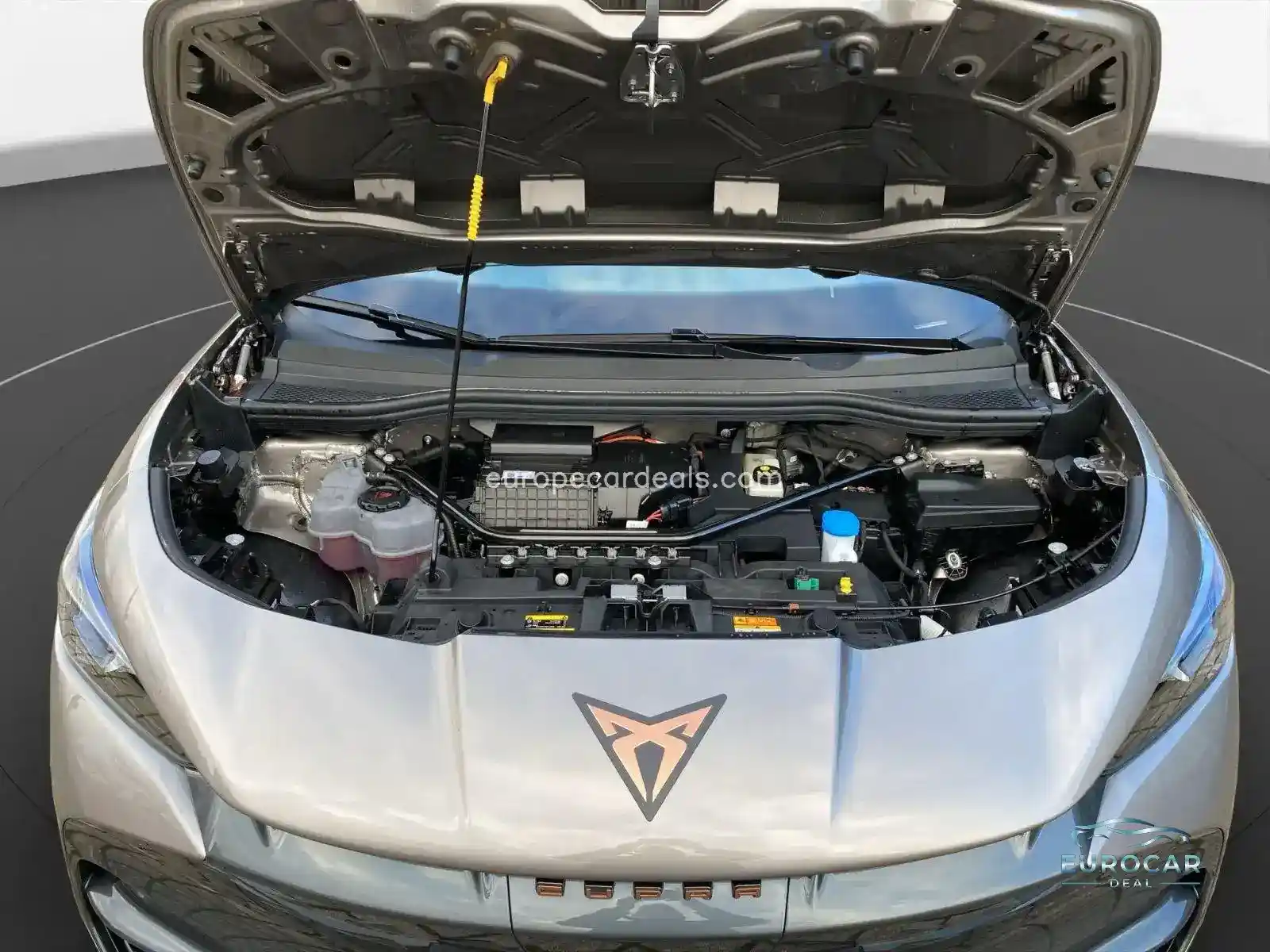 Cupra Tavascan