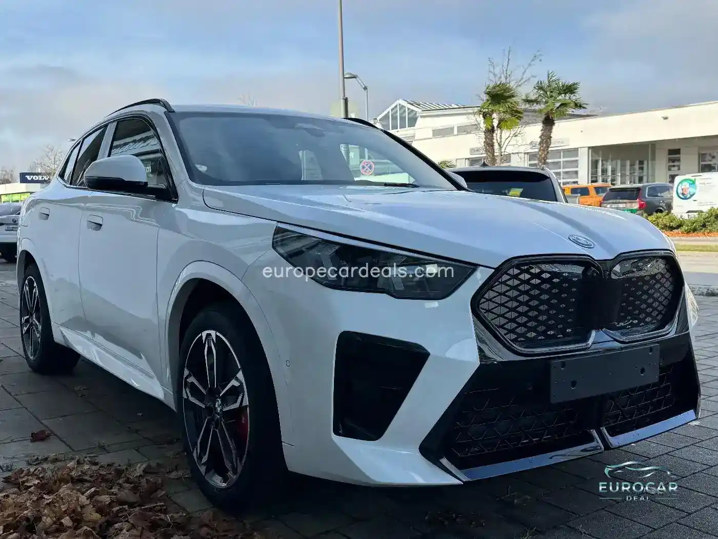 BMW iX2