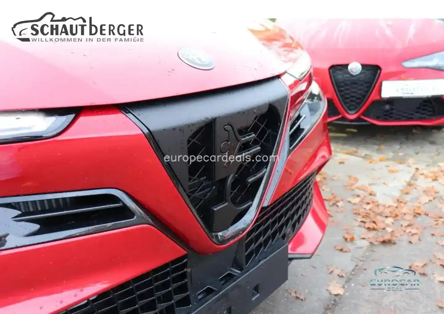 Alfa Romeo Junior