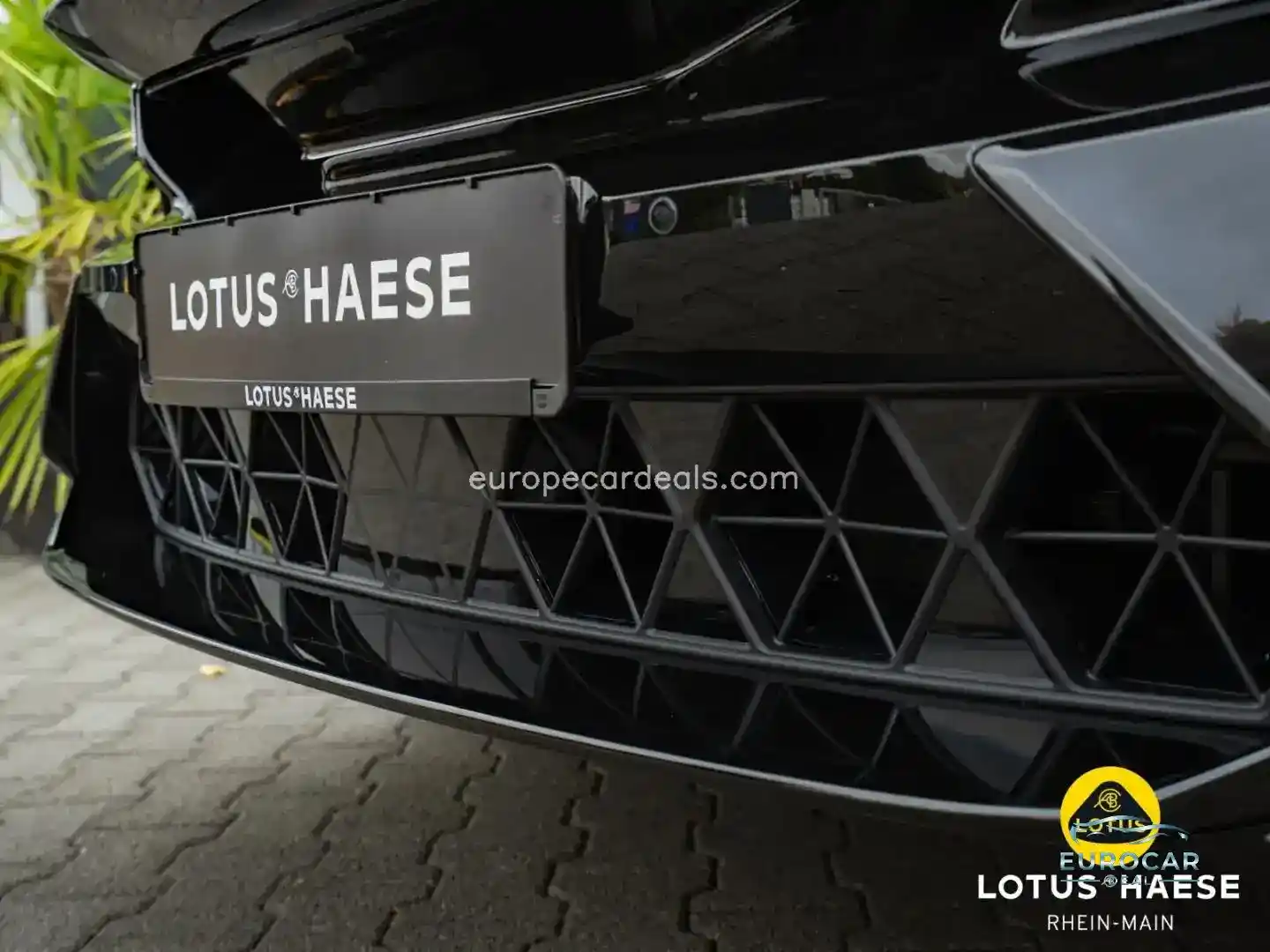 Lotus Eletre