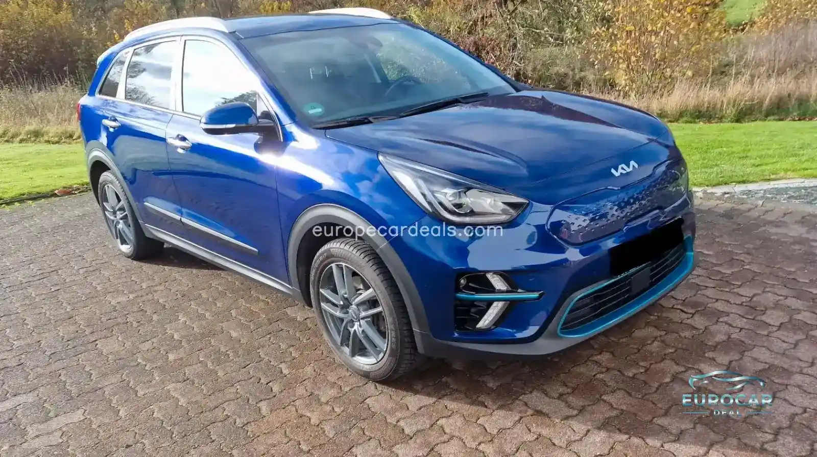 Kia Niro EV
