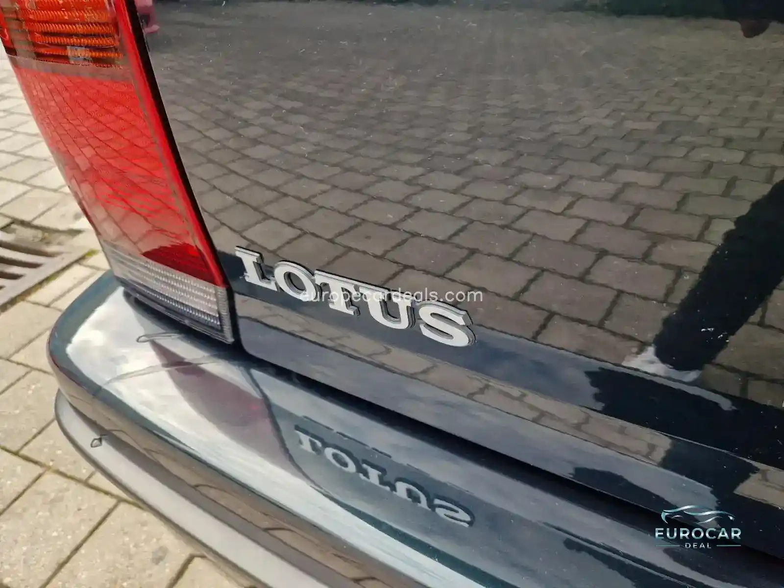 Lotus Other